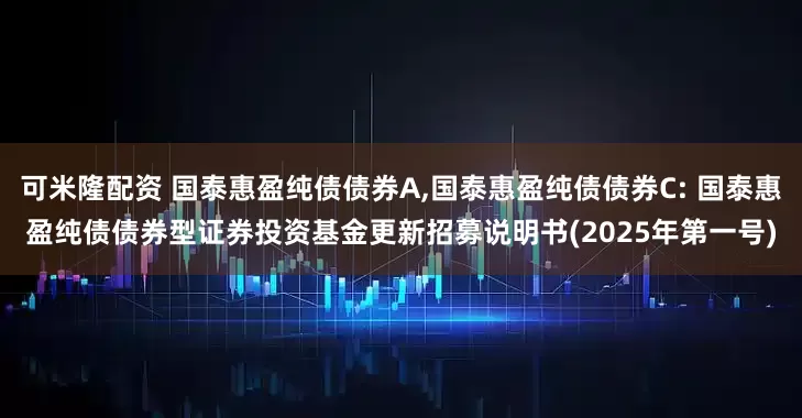 可米隆配资 国泰惠盈纯债债券A,国泰惠盈纯债债券C: 国泰惠盈纯债债券型证券投资基金更新招募说明书(2025年第一号)